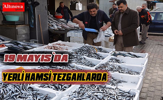 DEREKÖY HAMSİSİ TEZGÂHTA