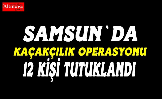 Samsun merkezli kaçakçılık operasyonu