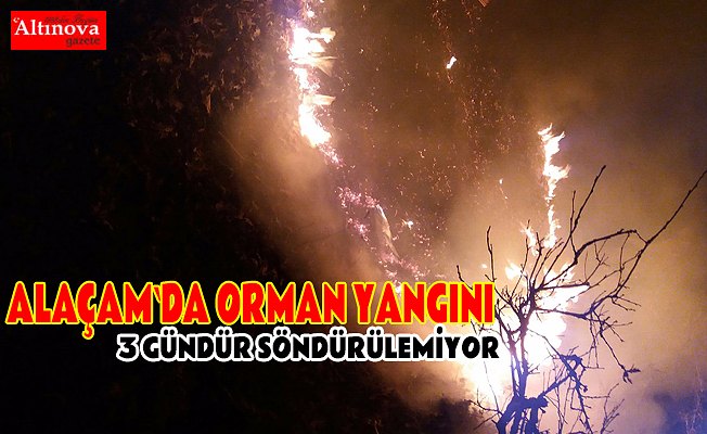 Alaçam`da orman yangını