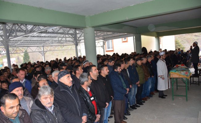 Giresun'daki trafik kazası