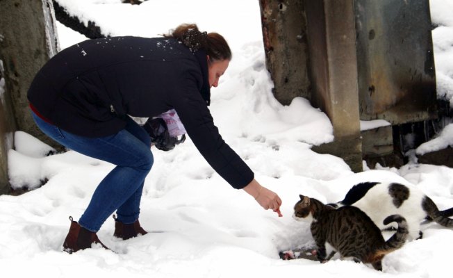 Yangın yaşlı çift ve kedilerini yuvalarından etti