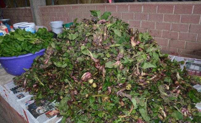 Kaldirik otu pazar tezgahlarına çıktı