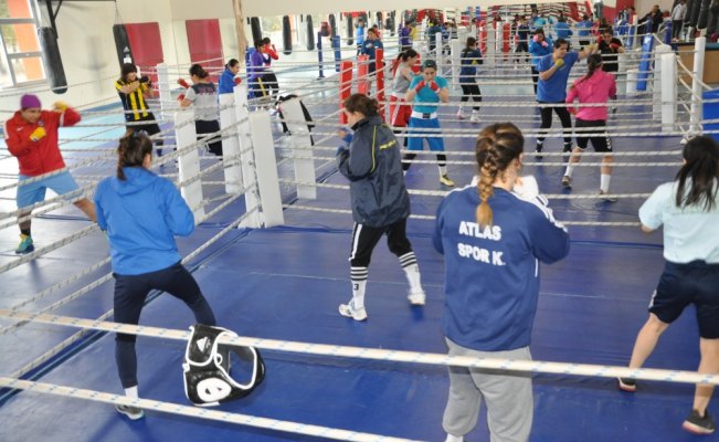 Milli boksörlerin Kastamonu kampı sona erdi