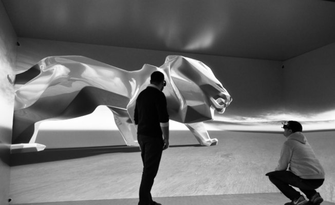 Peugeot, marka elçisi devasa 