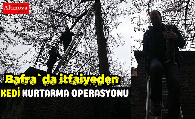 BAFRA`DA KEDİ KURTARMA OPERASYONU