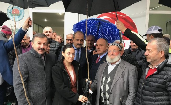 Çarşıbaşın'da çiftçilere ceviz ve hurma fidanı dağıtıldı