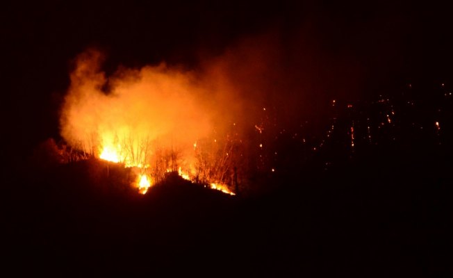 Giresun'da orman yangınları