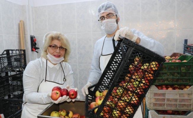 Kadın girişimci KOSGEB desteğiyle sirke ve pekmez ihracatçısı oldu