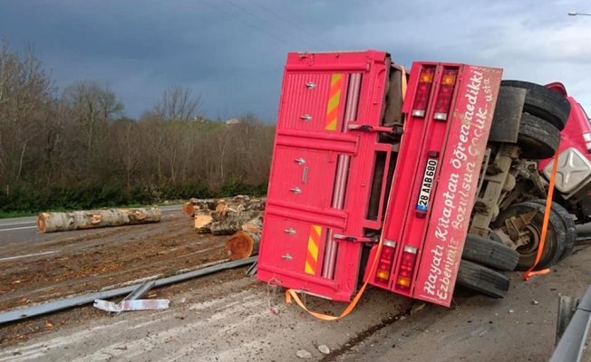 Ordu'da tomruk yüklü kamyon devrildi: 1 yaralı