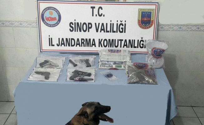 Sinop'ta uyuşturucu ve ruhsatız silah operasyonu