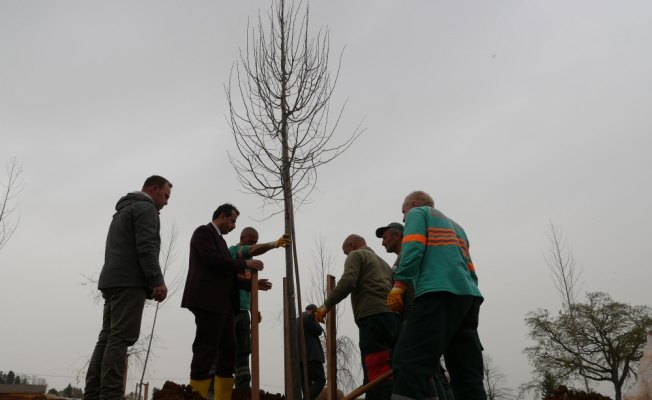 Trabzon'un 103 dönümlük botanik bahçesi ağaçlanıyor