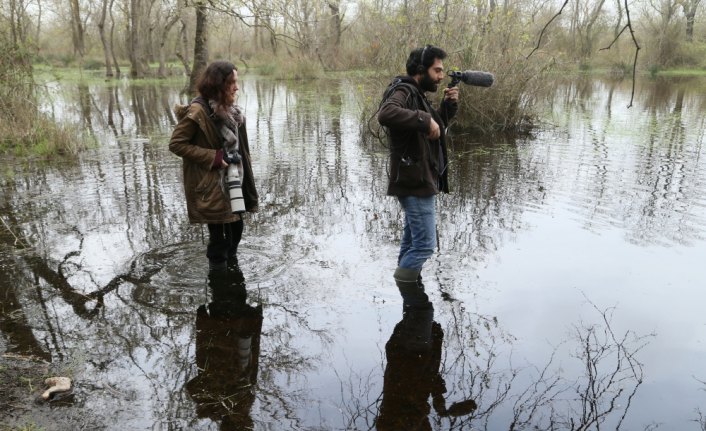 Akademisyenler bülbül sesinin notalarını belirleyecek