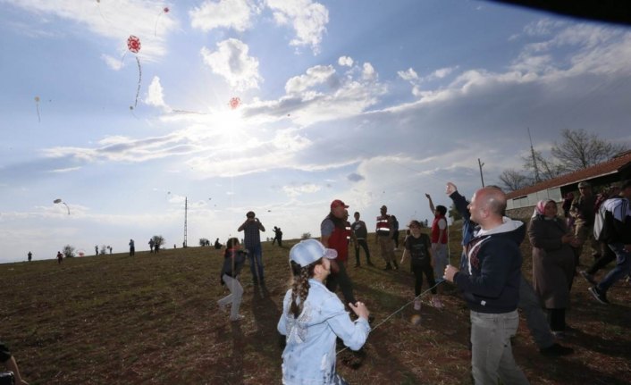 Amasya'da uçurtma şenliği