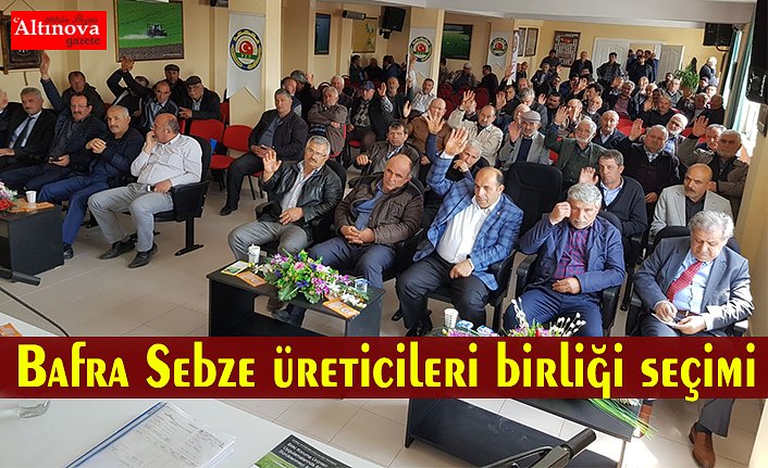 Bafra Sebze üreticileri birliği seçimi