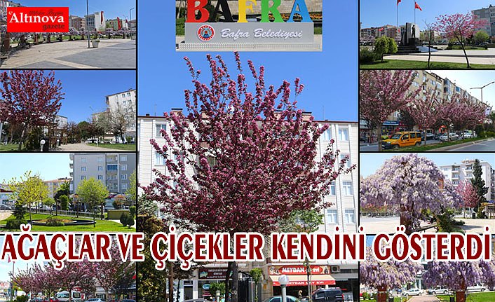 BAFRA’DA DİKİLEN FİDANLAR, AĞAÇLAR VE ÇİÇEKLER KENDİNİ GÖSTERDİ