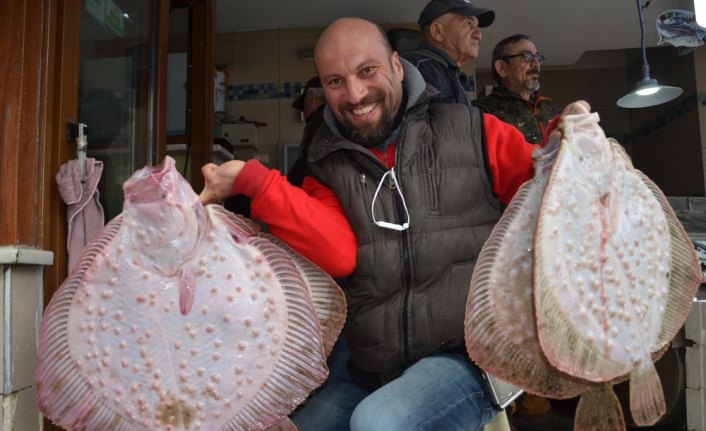 Balıkçıların yüzü kalkan balığıyla güldü