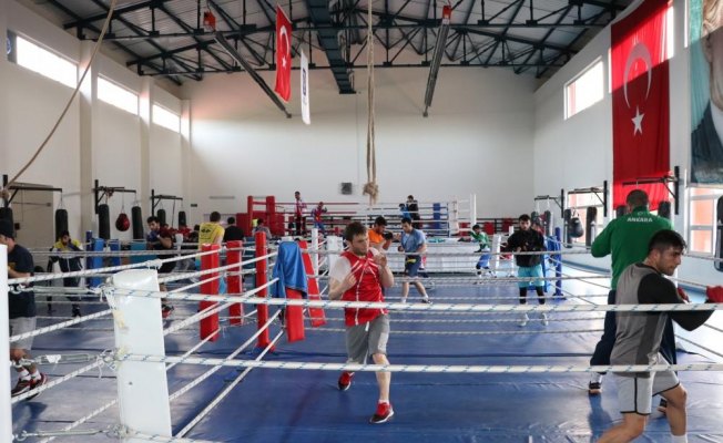 Boks Milli Takımı Kastamonu'da kampa girdi