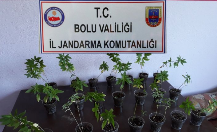 Bolu'da kaçakçılık ve uyuşturucu operasyonu