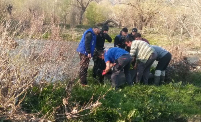 Bolu'da kaybolan yaşlı kadın ölü bulundu