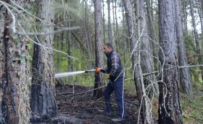 Bolu'da orman yangını