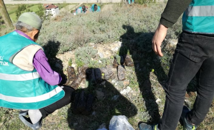 Boyabat'ta hükümlüler fidan dikti