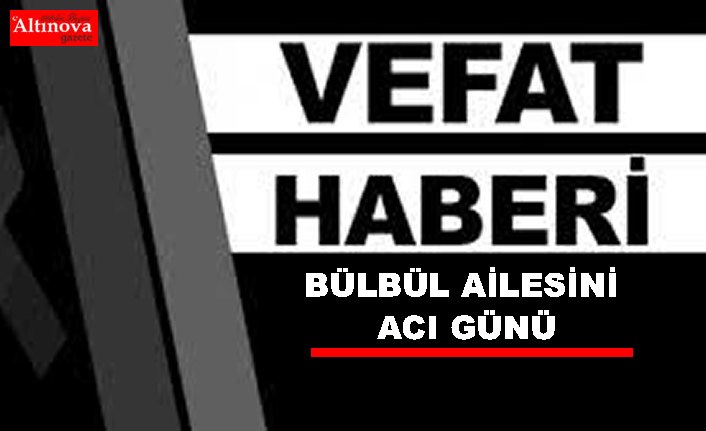 BÜLBÜL AİLESİNİN ACI GÜNÜ