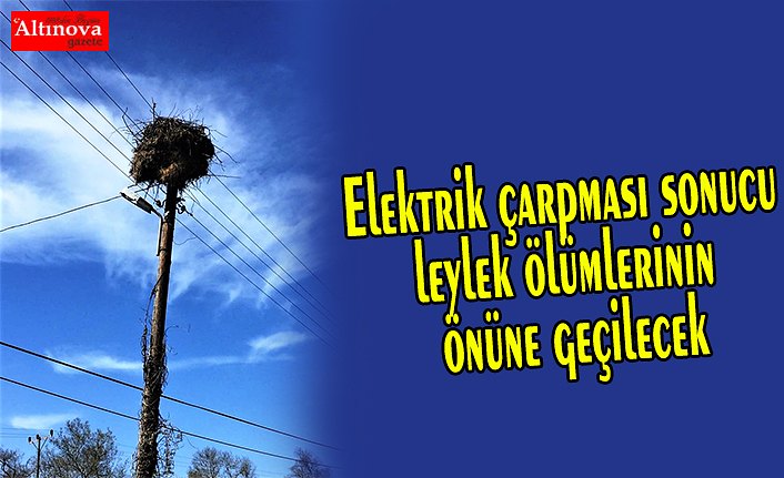 Elektrik çarpması sonucu leylek ölümlerinin önüne geçilecek