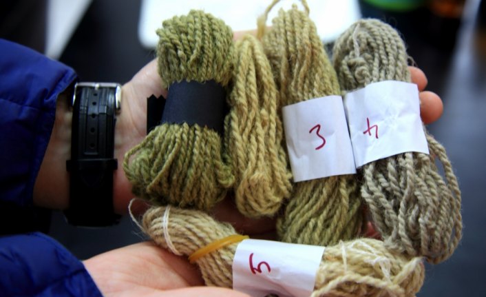 Isırgan otundan boya üretildi