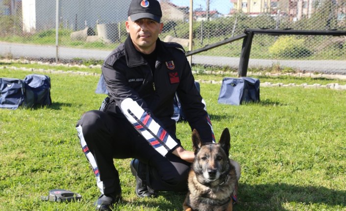 Jandarma köpeği 