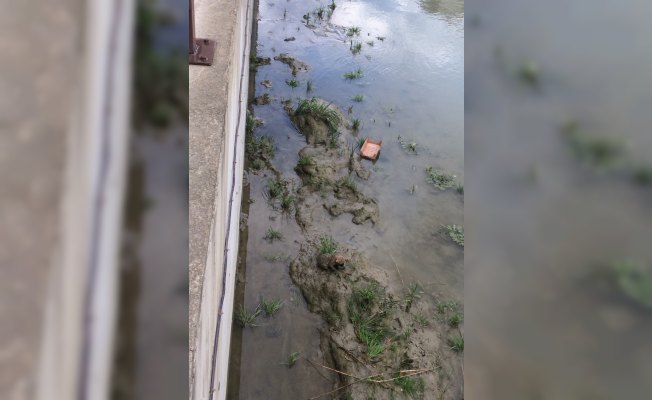 Kanala düşen köpek yavrusunu itfaiye kurtardı