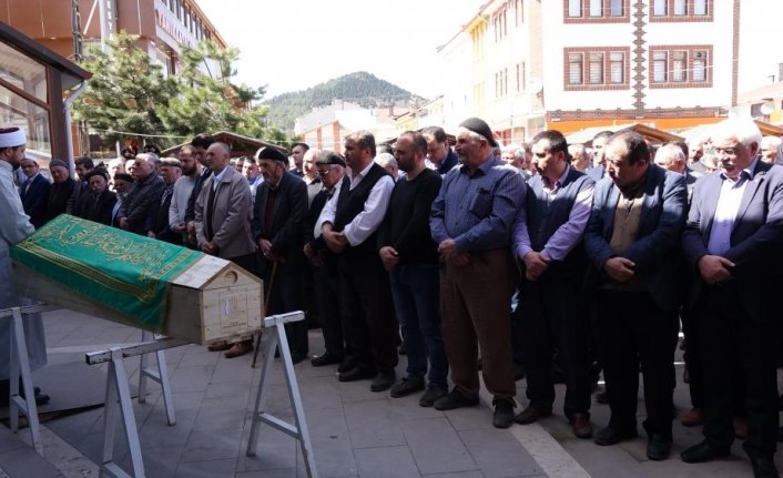 Kastamonu'da arının soktuğu kişi öldü