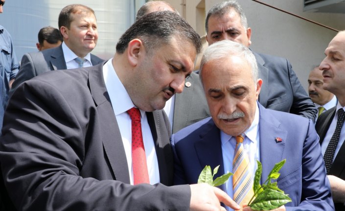 2018 Yılı Yaş Çay Alım Kampanyası