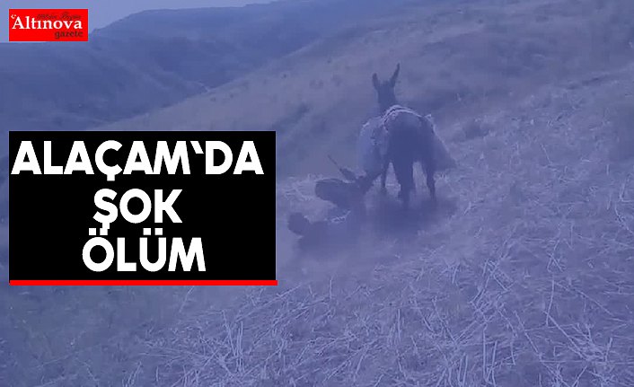 Alaçam`da şok ölüm