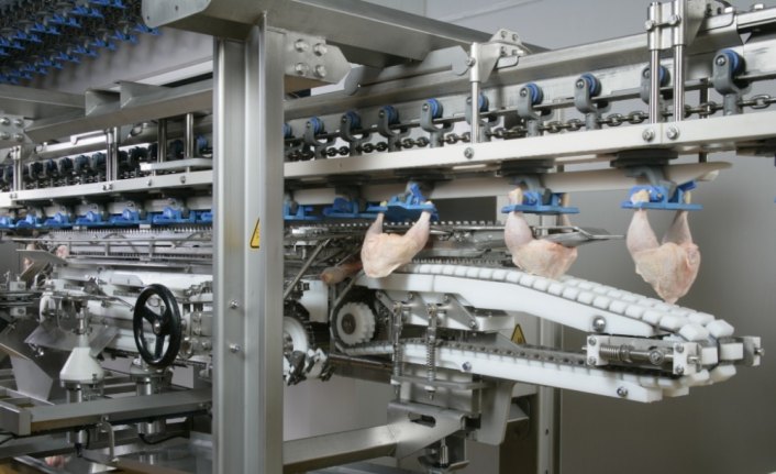 Japonlar Türk tavuğunu sevdi