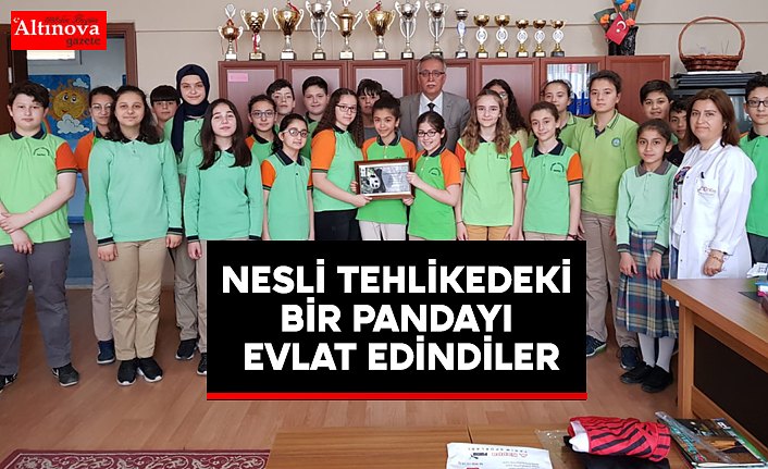 NESLİ TEHLİKEDEKİ BİR PANDAYI EVLAT EDİNDİLER