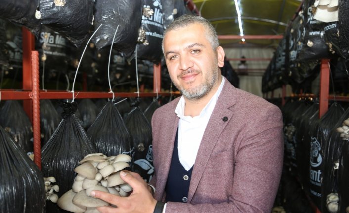 Ordulu kardeşler ekmeğini mantardan kazanıyor