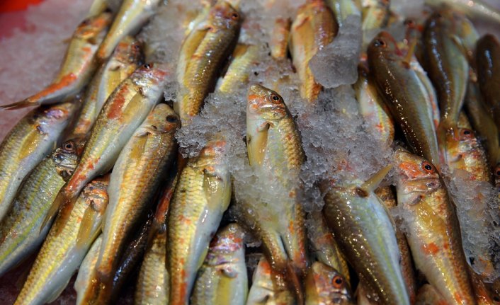 Tezgahların en pahalı balığı 