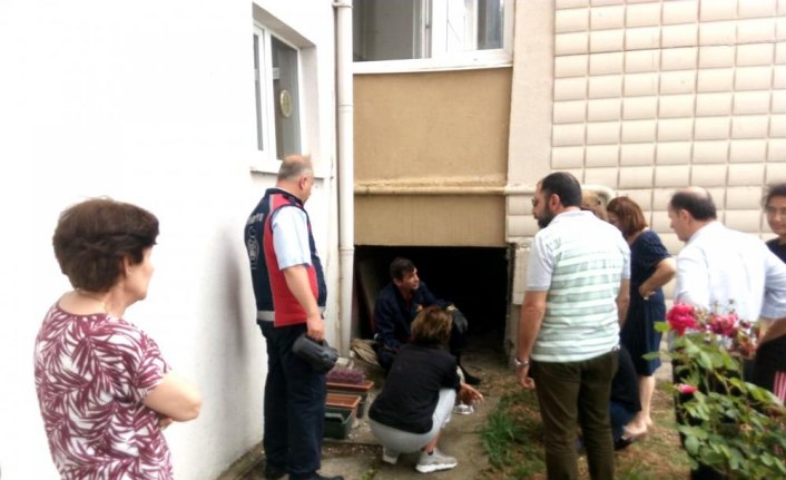 Asansör boşluğuna düşen yavru köpeği itfaiye kurtardı