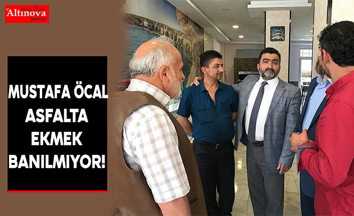 ASFALTA EKMEK BANILMIYOR!