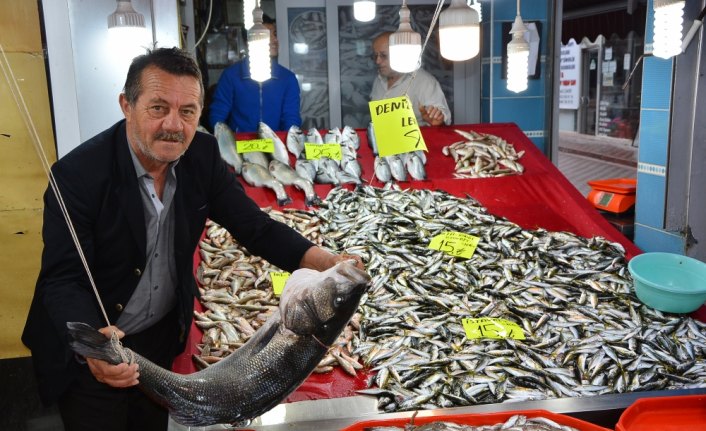 Balıkçılara 13 kilogramlık levrek sürprizi