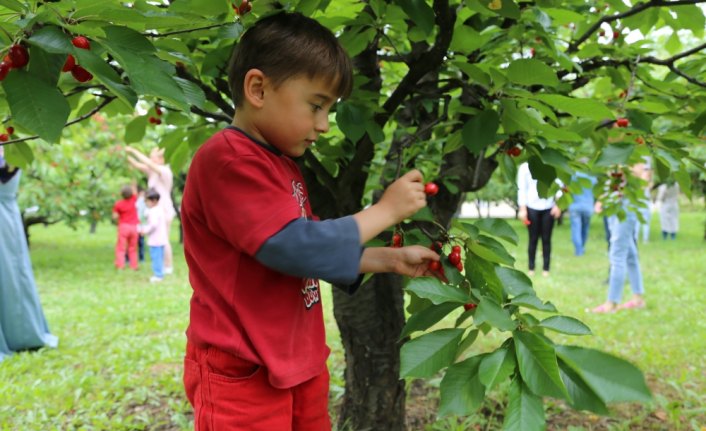 Minik öğrenciler, meyve bahçelerini gezdi