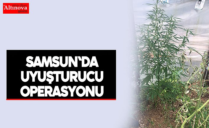 Samsun'da uyuşturucu operasyonu