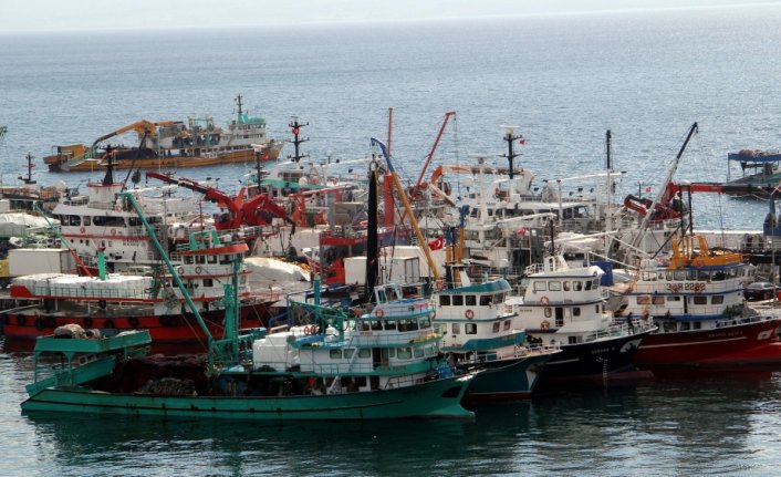 Sinop'ta 350 ticari tekne yeterlilik belgesi alacak