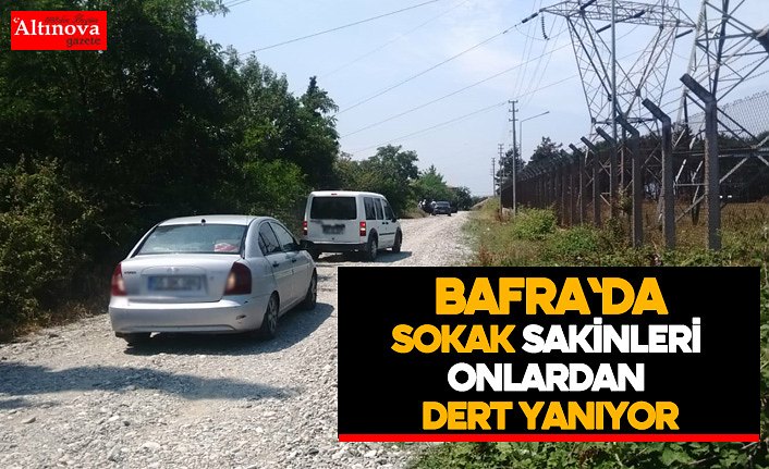 Sokak sakinleri onlardan dert yanıyor