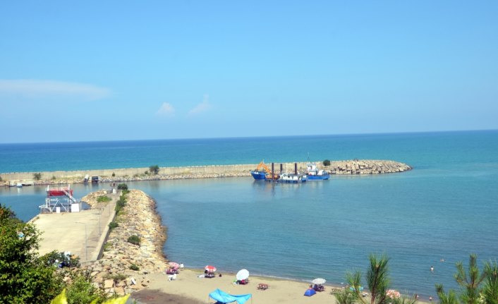 Alaplı balıkçı barınağında tarama çalışması