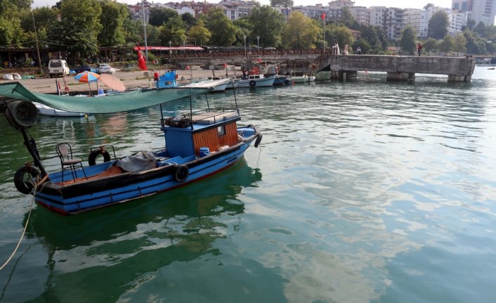 Batı Karadenizli balıkçılar yeni sezondan umutlu