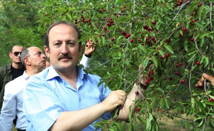 Bayburt Valisi Pehlivan'dan meyve üreticisine ziyaret