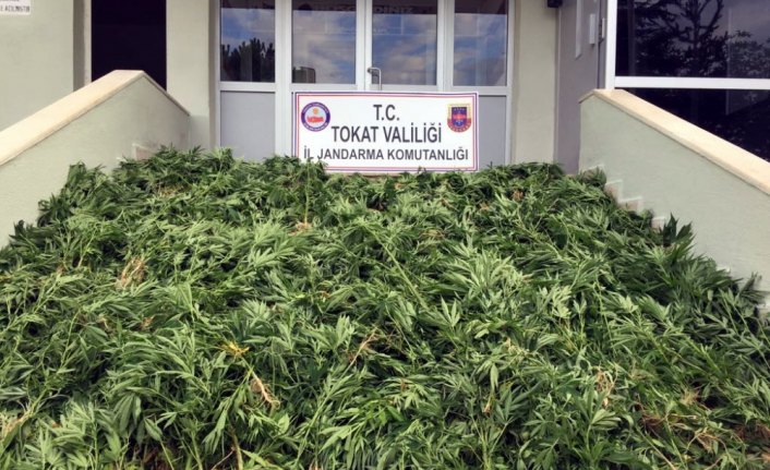 Erbaa'da uyuşturucu operasyonu