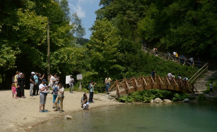 Erfelek Tatlıca Şelaleleri'ne ziyaretçi akını