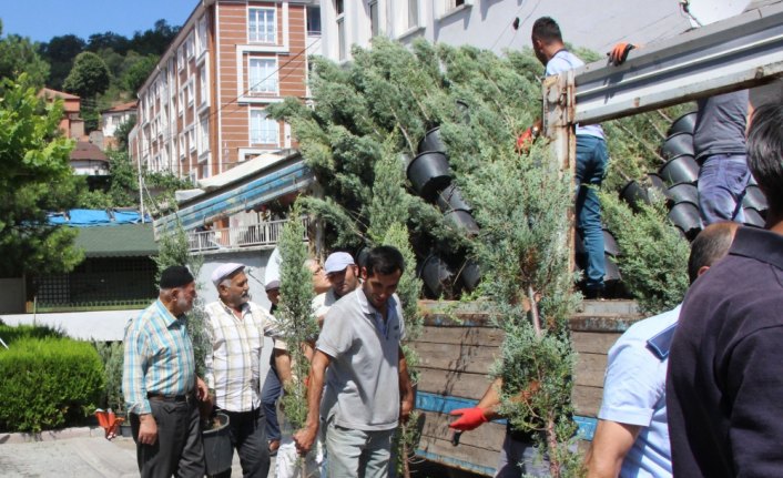 Havza Belediyesi vatandaşlara ücretsiz fidan dağıttı
